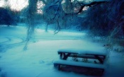 A Bench in the Snow. Winter