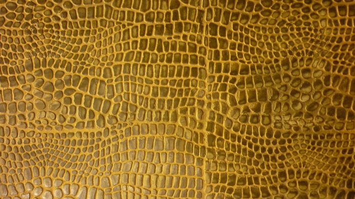 Crocodile Skin