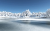 Frozen Lake and Trees