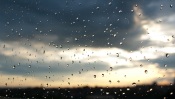 Rain Drops on Glass