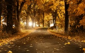 Autumn Road