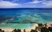 Hawaii Bird View