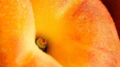 Peach