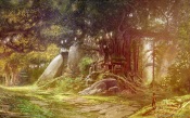 Aion - Beautiful Forest