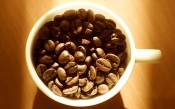 A Cup of Coffee Beans