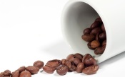 Coffee Beans in White Cup