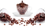 Coffee Beans - Glass Service