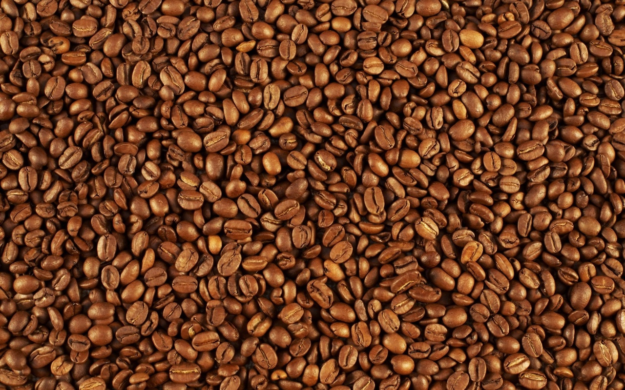 Coffee Beans Texture