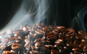 Roasting Coffee Beans