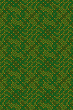 Green Pattern