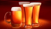 Beer in Glasses