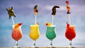 Cocktails