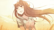 Spice and Wolf