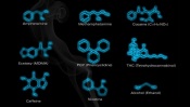 Chemical Formulas