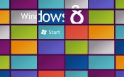 Windows 8