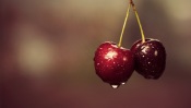 Cherries