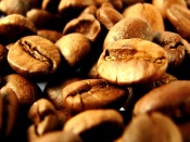 Coffee Beans, macro