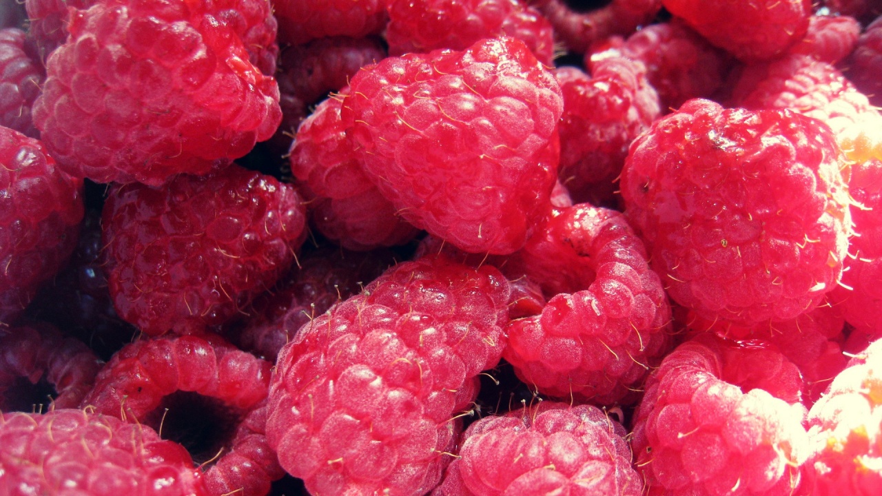 Ripe Raspberries