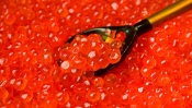 Red Caviar