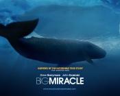 Big Miracle