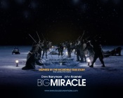 Big Miracle