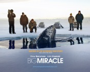 Big Miracle