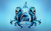 FC Zenit