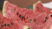 Juicy Watermelon