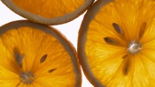 Orange Segments