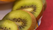 Pieces of Kiwi