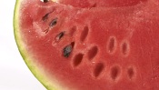 Pieces of Watermelon
