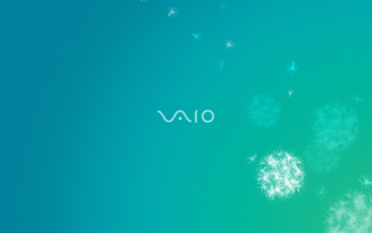 Vaio. Background of Dandelions