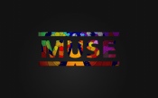 Muse