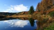 Lake, Grass, Trees