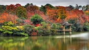 Nature, Autumn, the Water