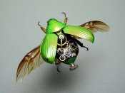 Mechanical Beetle