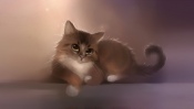 Painted Beautiful Cat