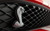 Ford Mustang Shelby Gt500 - Radiator Grill