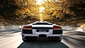 Lamborghini Murcielago Lp640 Rear