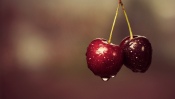 Ripe Cherry