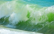 Green Wave