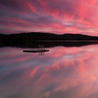 Pink Lake