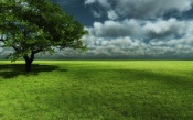 Green Grass, Trees, Clouds