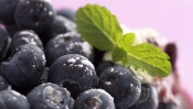 Blueberries with Mint