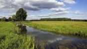 Rural Landscape