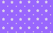 Purple Background with White Flower