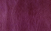 Purple Skin Texture
