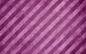 Stripes on the Pink Background