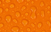 Water Drop on Orange Skin