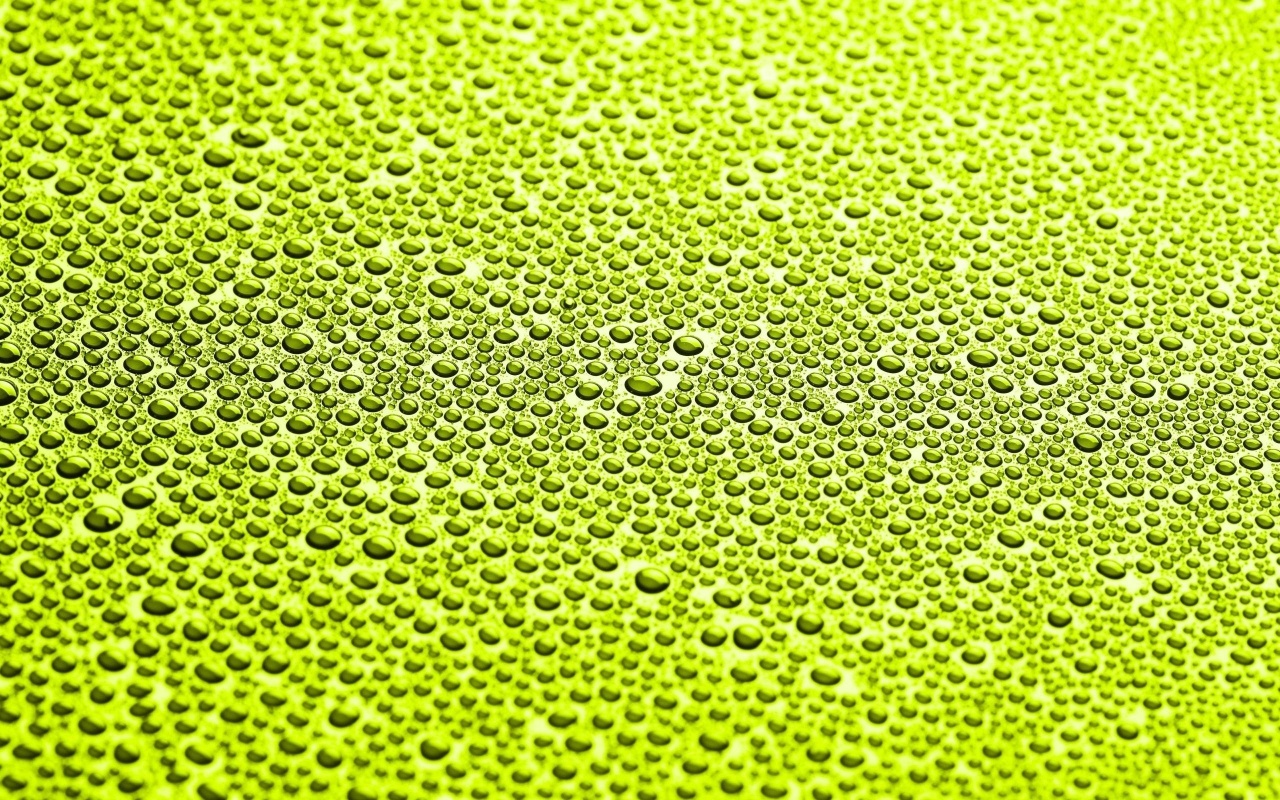 Water Drops on Green Surface